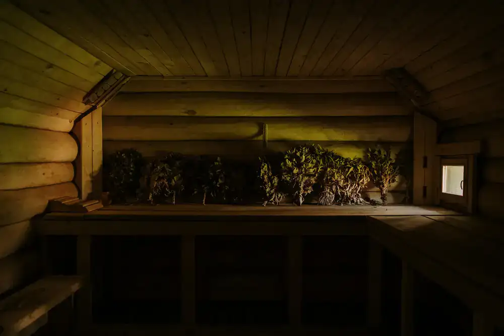 Sauna am Rand eines Waldes